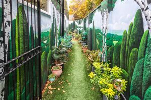 Photo 13- click for photo gallery